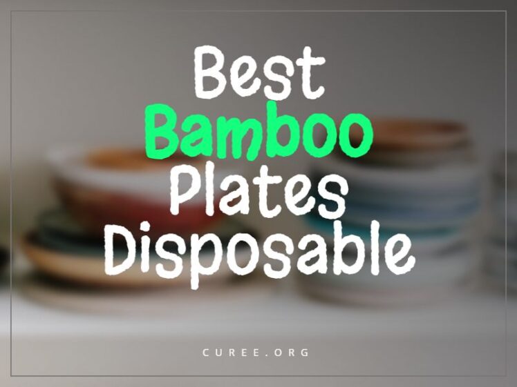 20 Best Bamboo Plates Disposable of 2024 Eco Friendly Plates