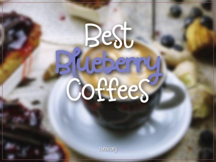 20 Best Blueberry Coffees of 2024 Top Flavor
