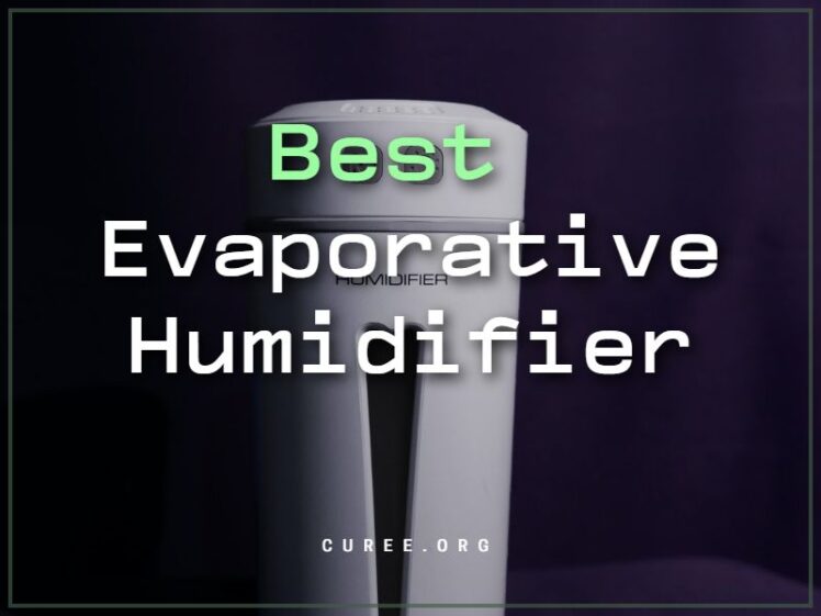 20 Best Evaporative Humidifier of 2024 Aircare Space Saver