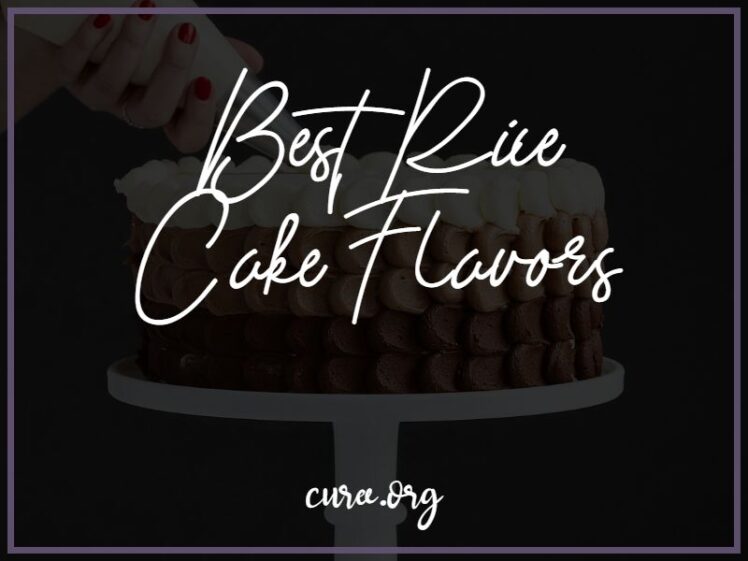 20 Best Rice Cake Flavors Choose your Taste