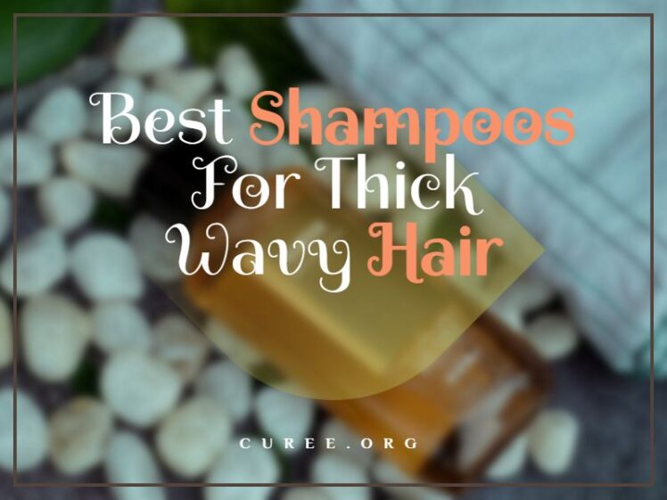 20 Best Shampoos For Thick Wavy Hair CrueltyFree