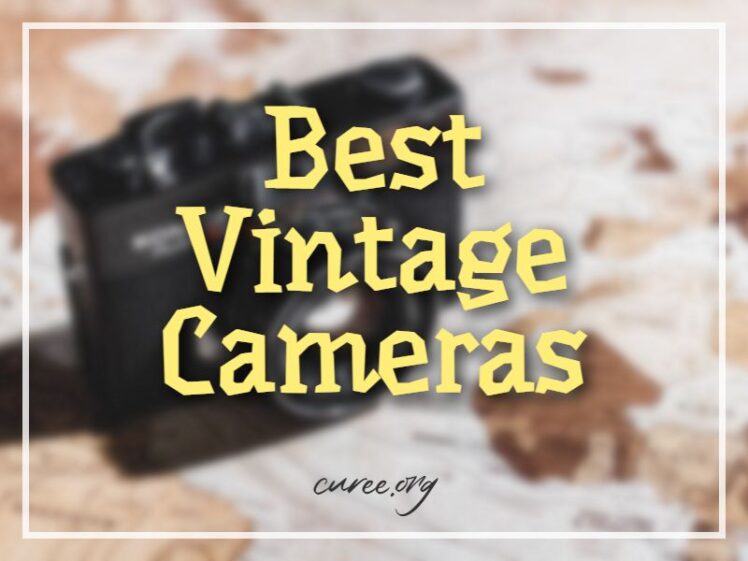 20 Best Vintage Cameras Retro Is in Vogue
