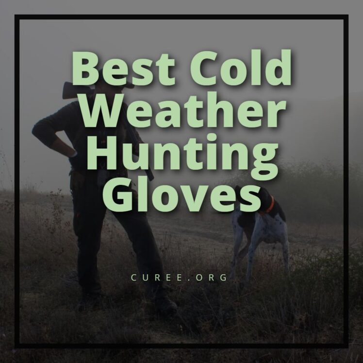 10 Best Cold Weather Hunting Gloves 2024 Warm and Waterproof Picks