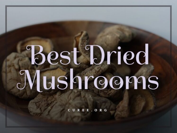 15 Best Dried Mushrooms Costco 2024 Good Dehydrated Mushrooms Review