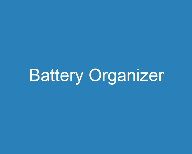 20 Best Battery Organizer [2023] - Curee