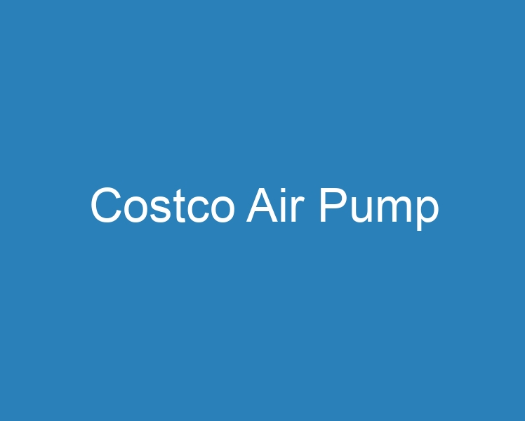 20-best-costco-air-pump-2023-curee