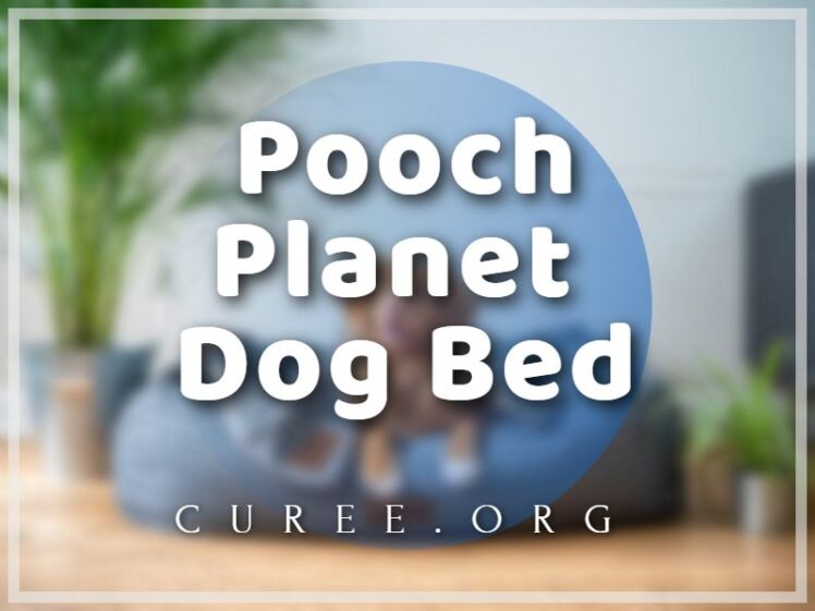 20 Best Pooch Dog Bed 2024 Therapeutic Memory Foam Dog Bed