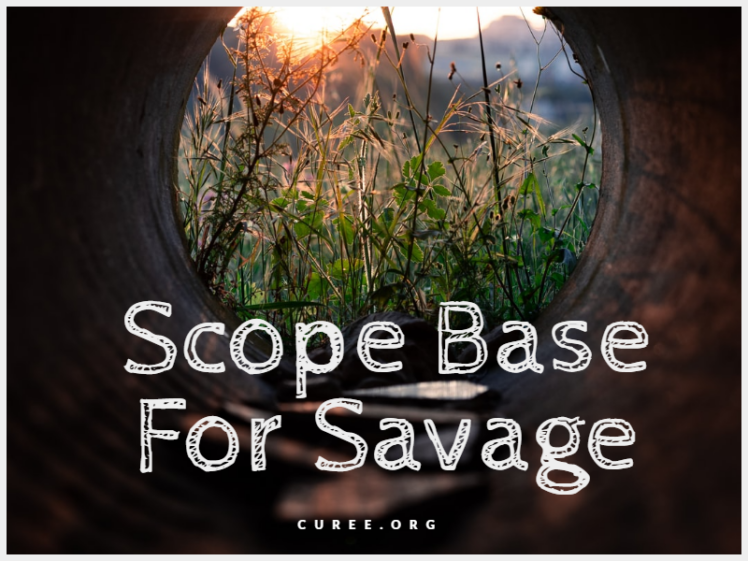 Best 20 Scope Base For Savage 110 2024 Aim with Best Scopes!