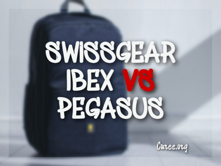 20 Best Swissgear Ibex Vs Pegasus 2024 Useful Backpacks