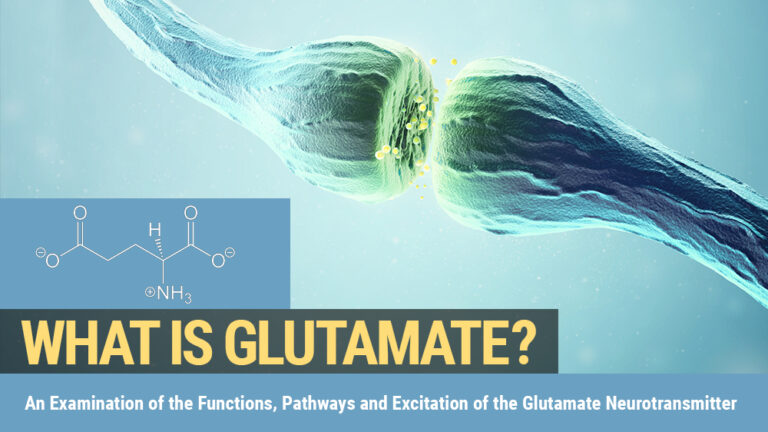 Glutamate and the Gut-Brain Connection